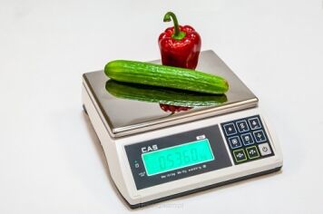 Waga prosta CAS ED 30 kg