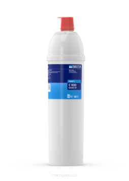 Wkład wymienny Purity C300